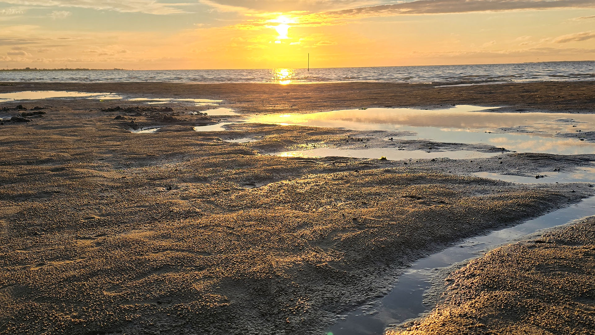 Ostfriesland: Natur und Umwelt