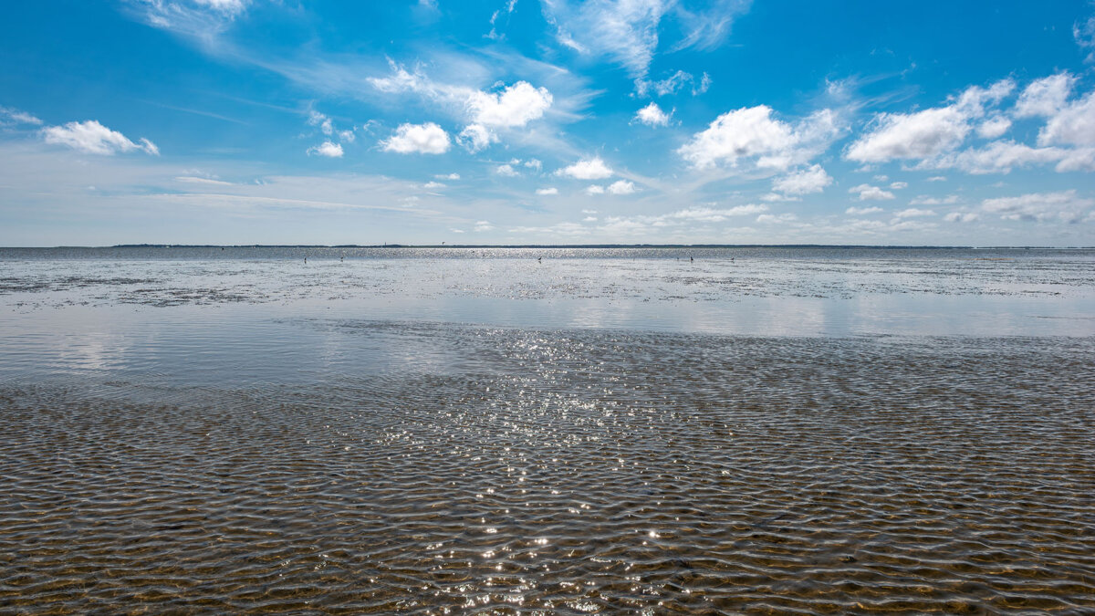 Nationalpark Niedersächsisches Wattenmeer