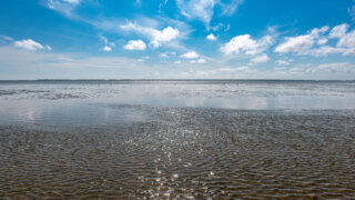 Wattenmeer