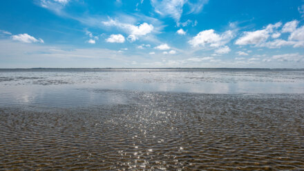 Wattenmeer