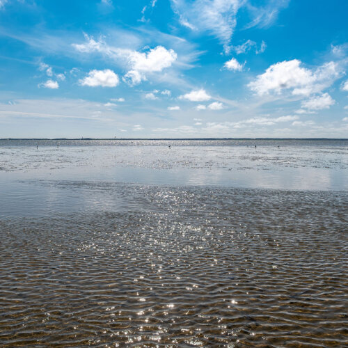 Wattenmeer