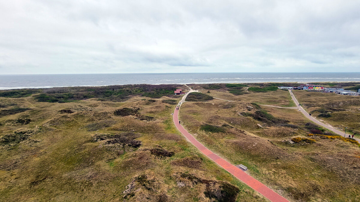 Typische Braundünen auf derI Insel Langeoog