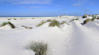 Hochsand