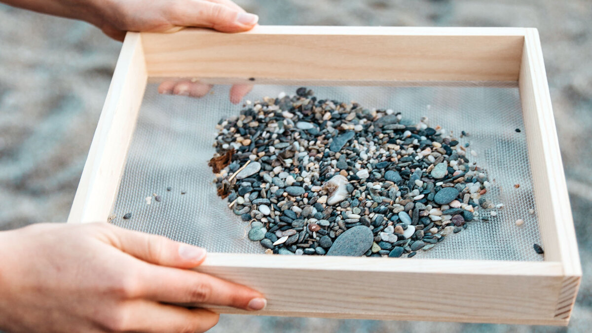 Muscheln sammeln mit Sieb