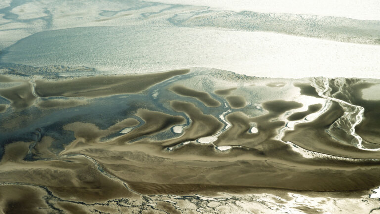 Nationalpark Niedersächsisches Wattenmeer