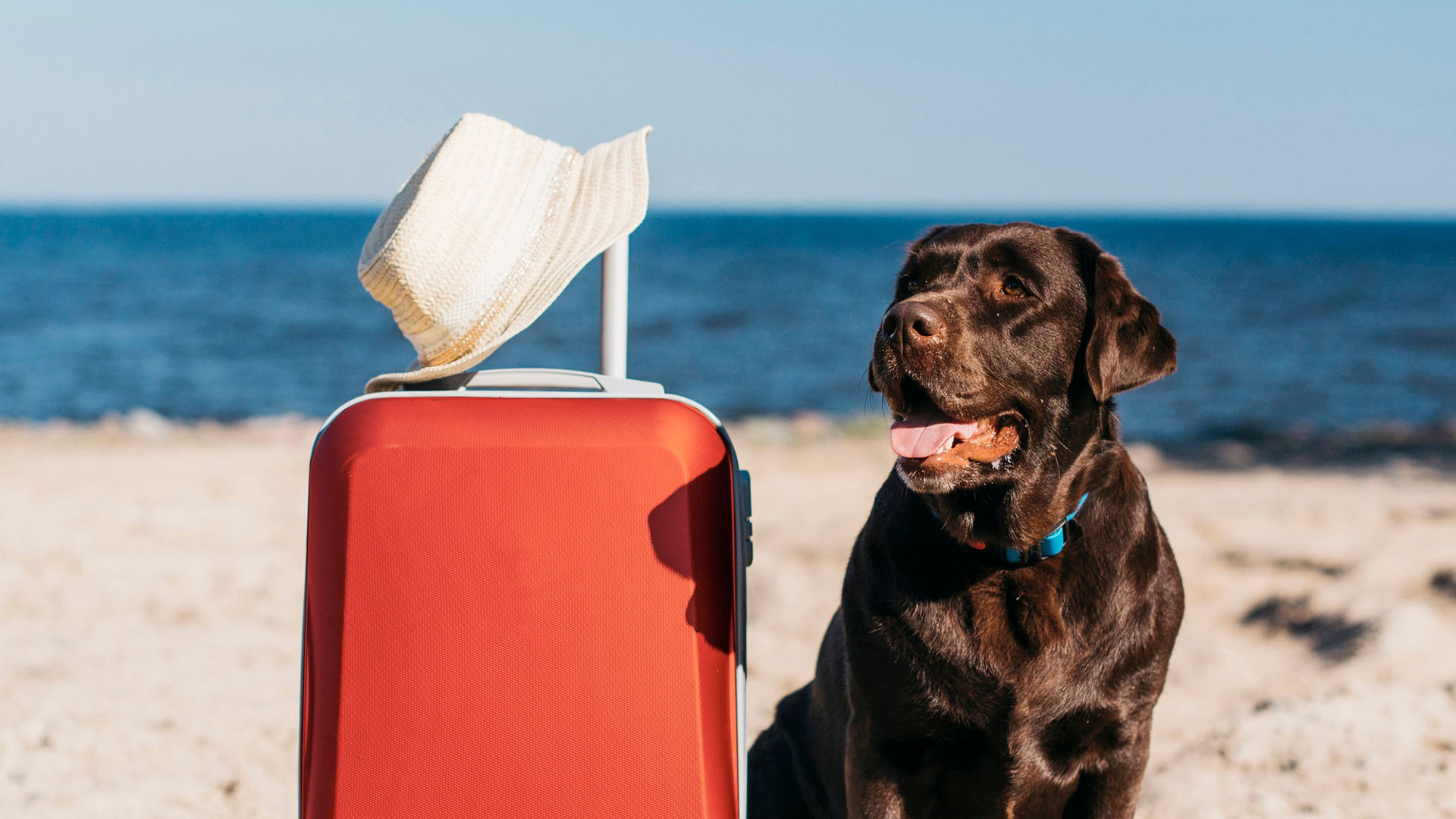 Urlaub mit Hund in Ostfriesland