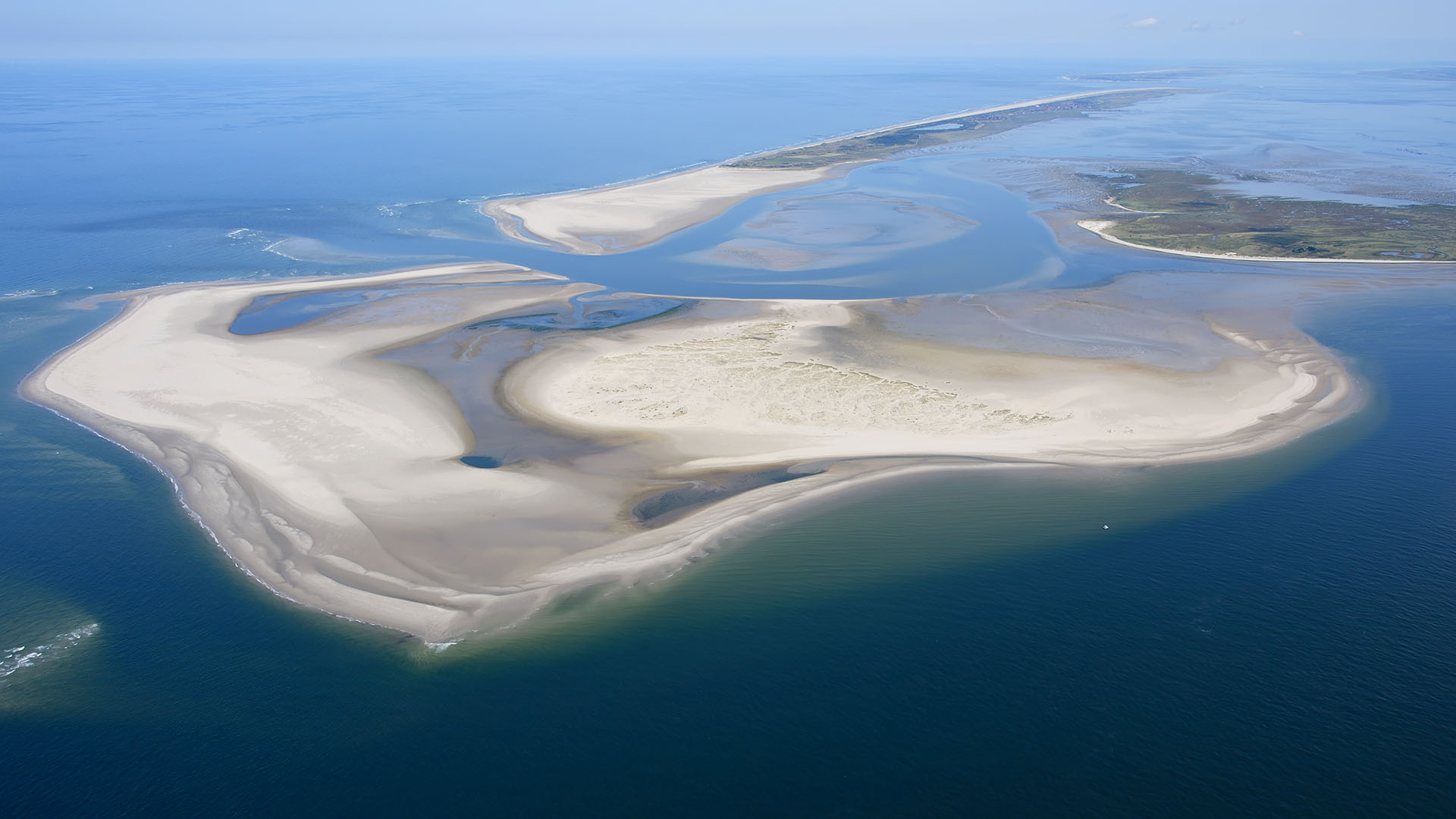 Kachelotplate - Ostfriesland - Sandbank -Hochsand