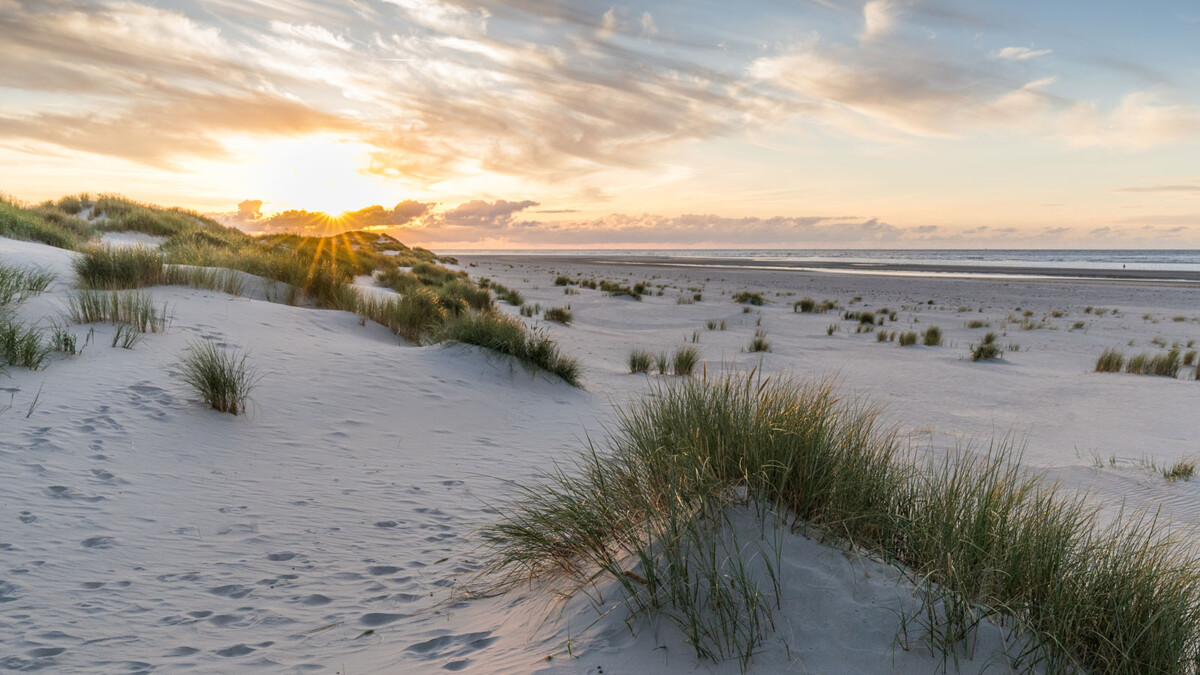 Dünenlandschaft der Insel Baltrum