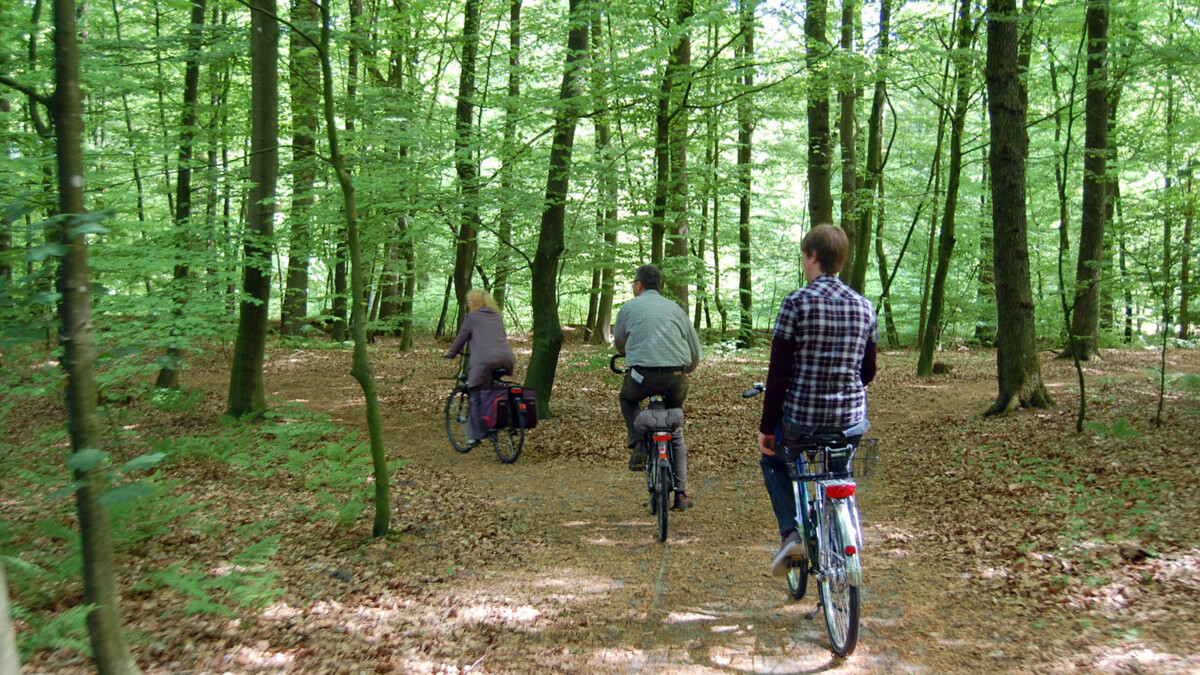 Ihlower Forst - Radfahren